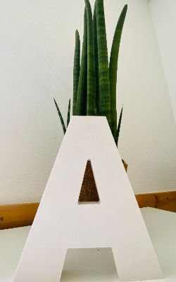 Alphalif-1 (1)